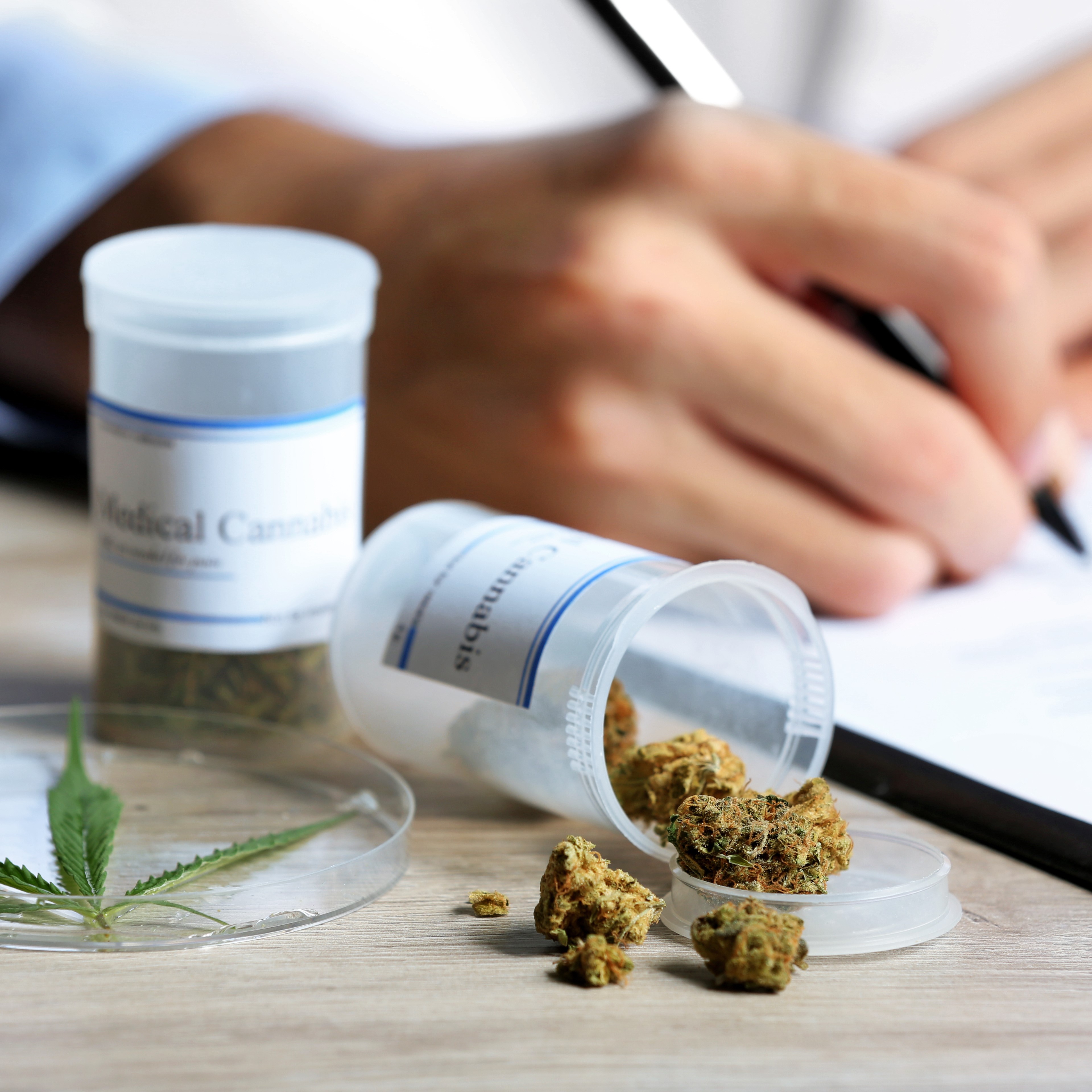 New AAA research explores messaging strategies to promote safer choices