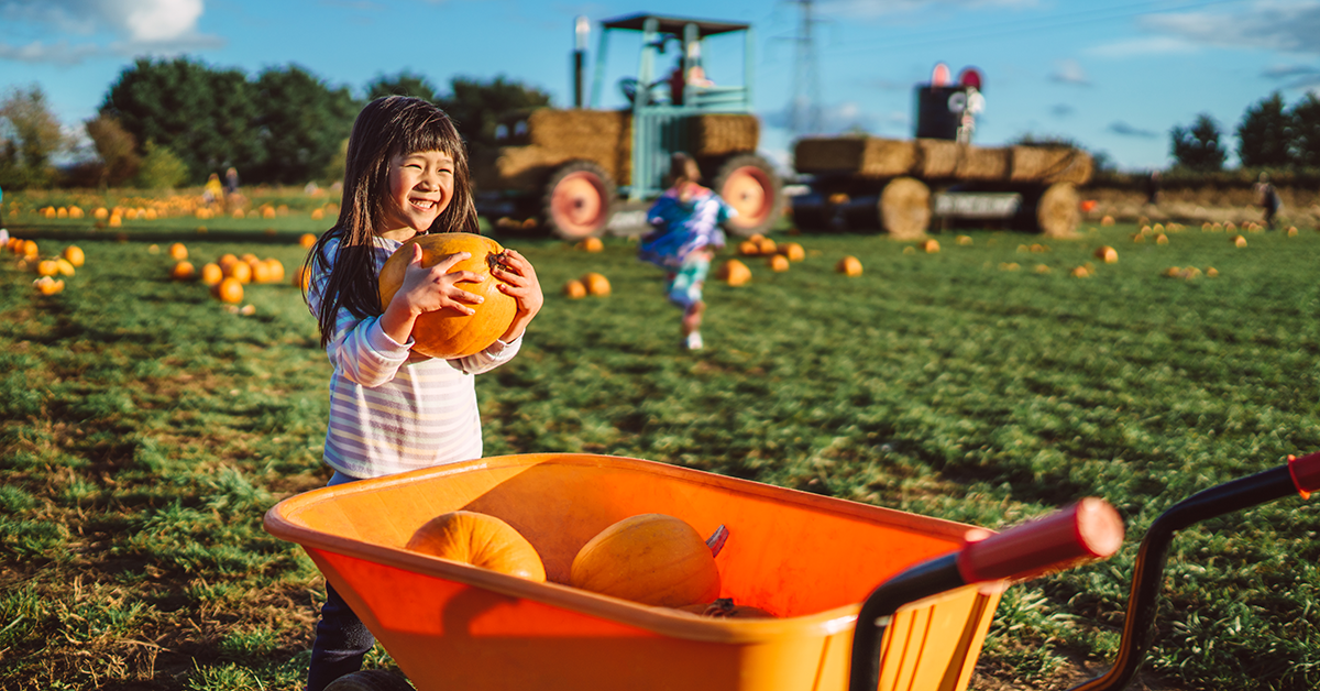 Pumpkin Patch