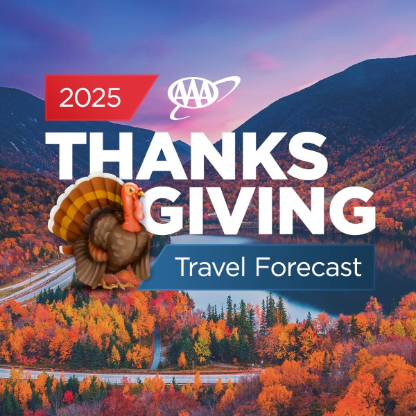 Concerns over flight cancellations could mean some air travelers switch to road trips