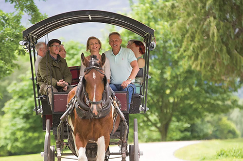 a family sits on a horse and buggy
