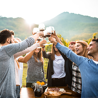 friends toasting with wine glasses