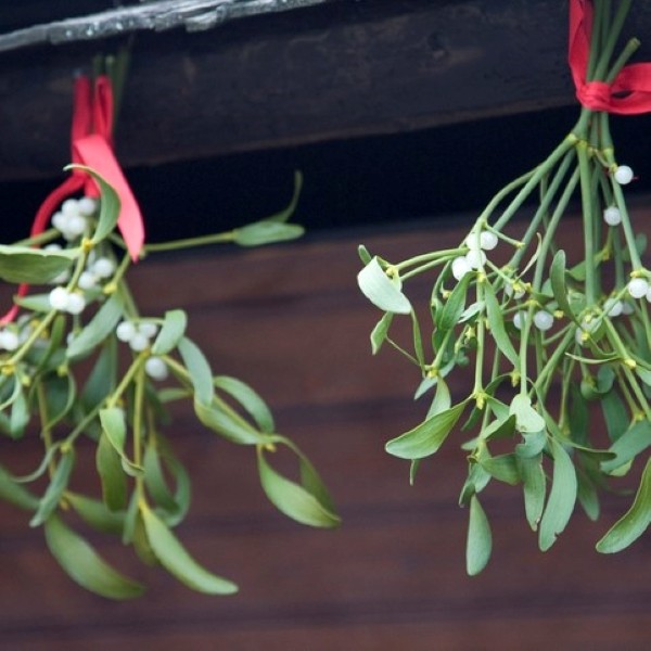 AAA Western and Central New York offers insurance tips for seasonal accidents