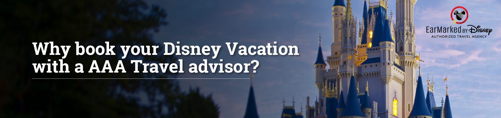 Disney Magic Kingdom